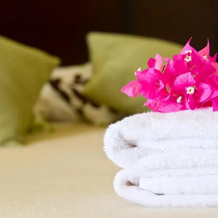 公寓 The Old Fisherman's Nest By Triapart